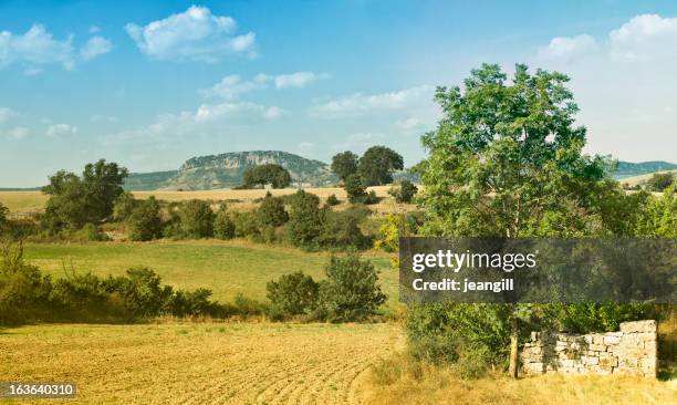 moors landscape, south of france - aveyron bildbanksfoton och bilder