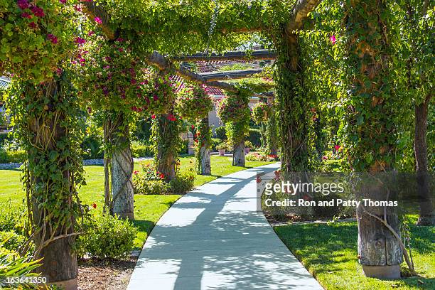 vineyard's arbor (p) - us botanic garden stock pictures, royalty-free photos & images