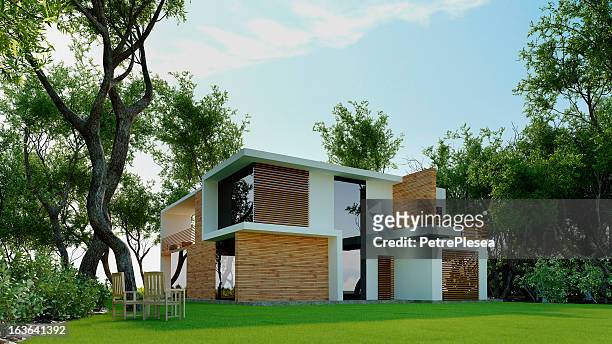modèle 3d de la maison moderne dans la forêt. architecture abstraite. - architecture bois photos et images de collection