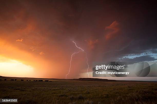 summer storm - prairie stock pictures, royalty-free photos & images