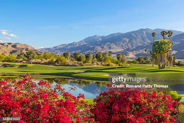 golfplatz in palm springs, kalifornien, tel. - usa golf stock-fotos und bilder