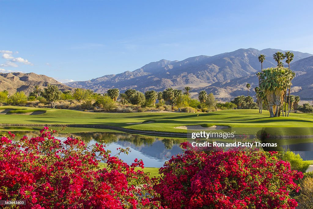 Parcours de Golf à Palm Springs, en Californie, (P)