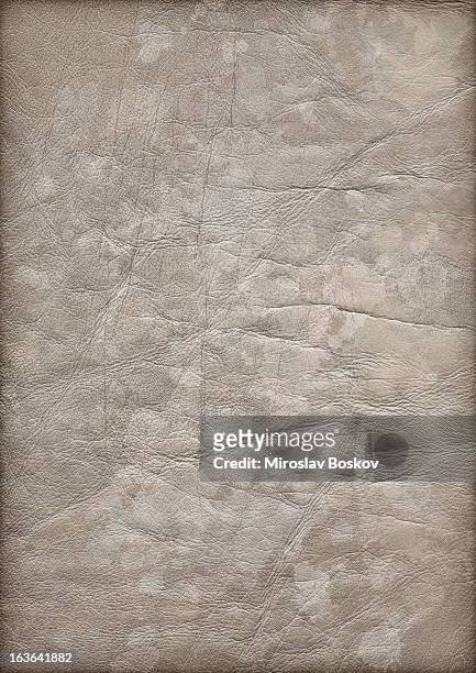 high resolution animal skin parchment mottled vignette grunge texture - old parchment, background, burnt stock pictures, royalty-free photos & images