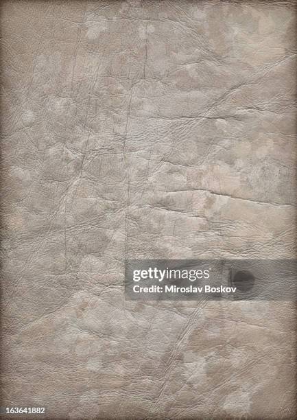 high resolution animal skin parchment mottled vignette grunge texture - mottled skin 個照片及圖片檔