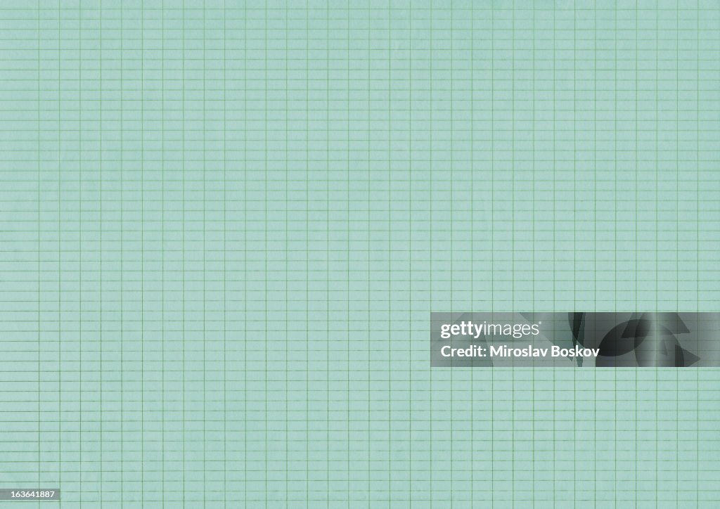 High Resolution Pale Emerald Green Checkered Graph Paper Background