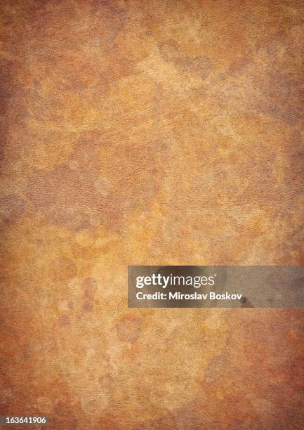 high resolution antique animal skin parchment mottled vignette grunge texture - mottled skin 個照片及圖片檔