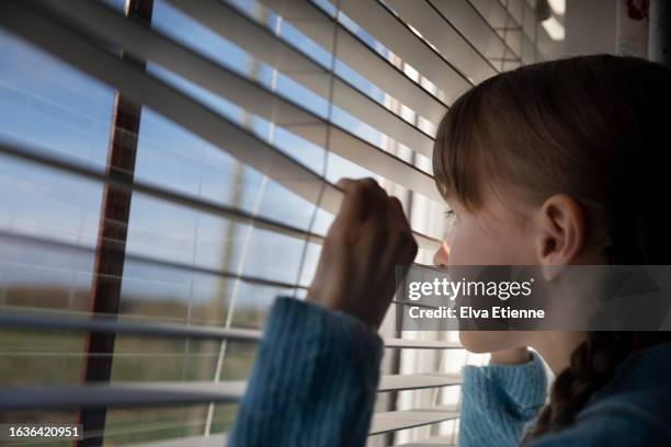 child peering through window blinds across a rural view from a bedroom window in springtime. - alpha female stock pictures, royalty-free photos & images