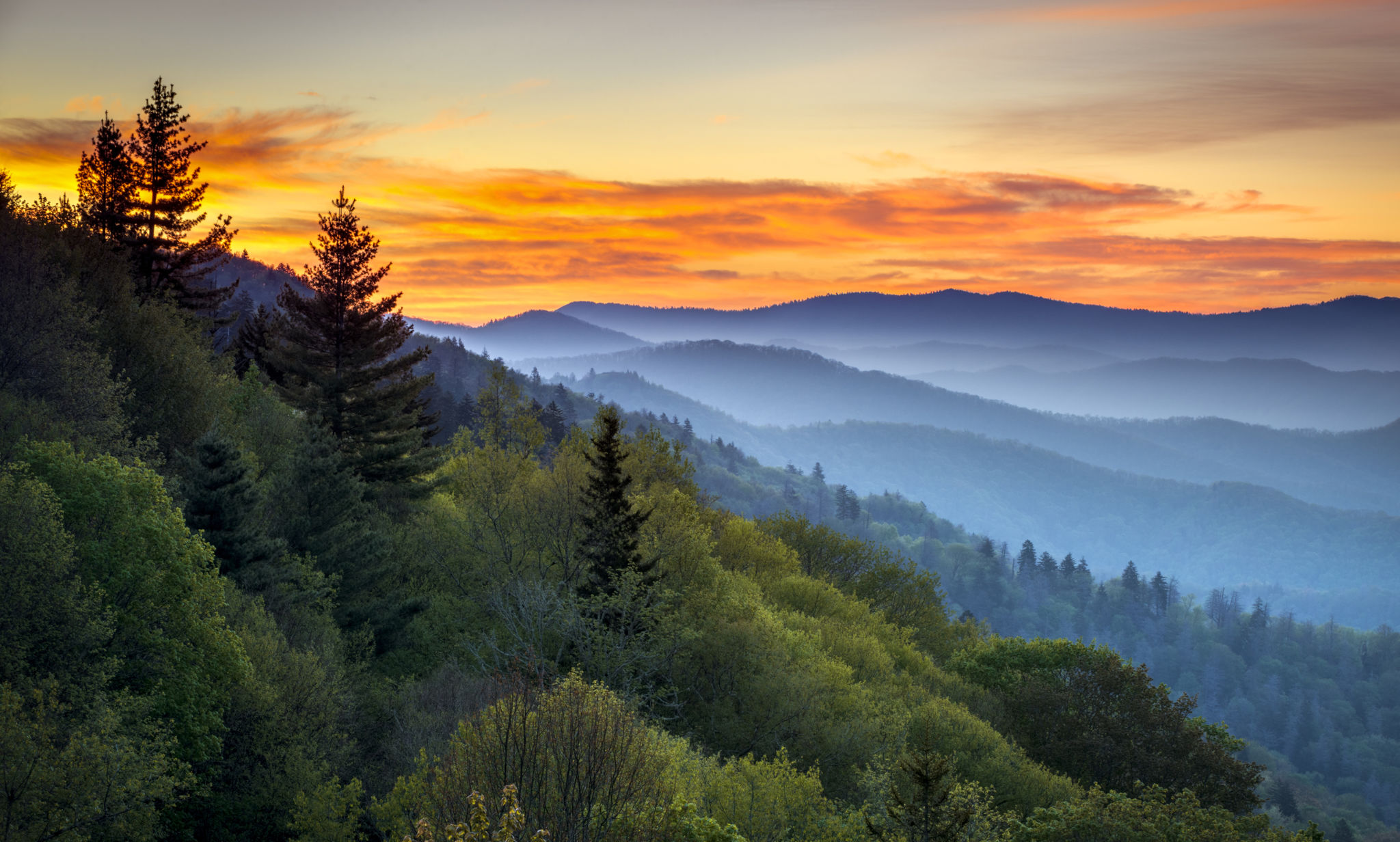 tennessee landscape