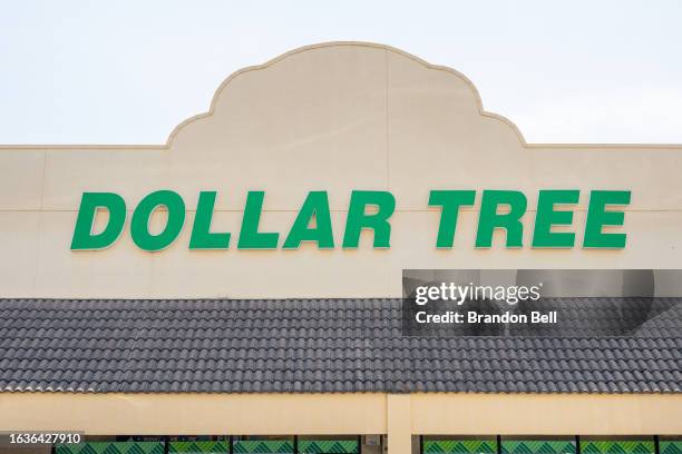 Dollar Tree convenient store is seen on August 24, 2023 in Austin, Texas. Dollar Tree surpassed Wall Street's fiscal second-quarter earnings, but...