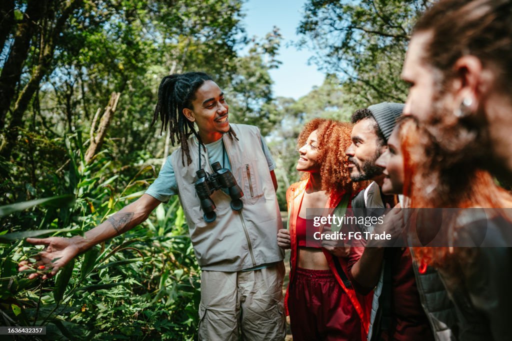 Guide touristique montrant des plantes à un groupe d’amis en randonnée dans la forêt