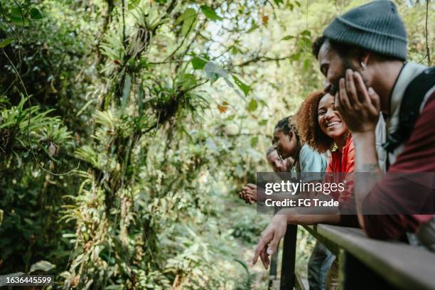 friends talking and relaxing in a suspension bridge during hiking in the forest - eco tourism stock pictures, royalty-free photos & images