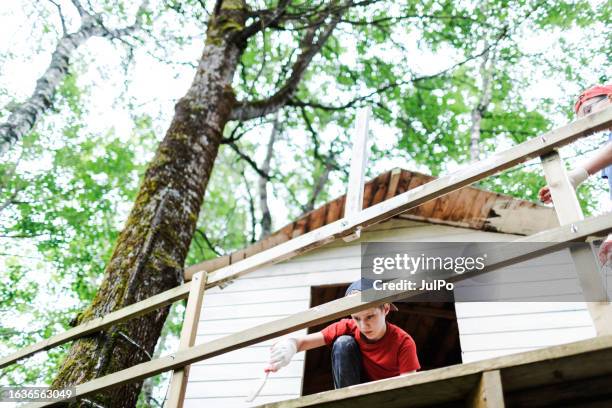 brothers painting tree house using paint rollers and brushes - tree house stock pictures, royalty-free photos & images