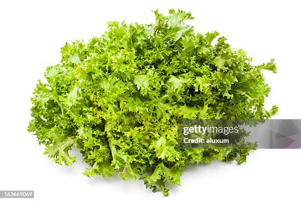 escarole - endive stock pictures, royalty-free photos & images