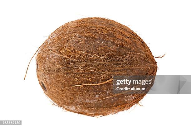 kokosnuss - coconut isolated stock-fotos und bilder