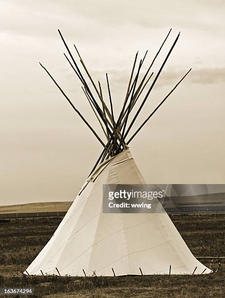 sepia teepee and grasslands - tipi stock pictures, royalty-free photos & images