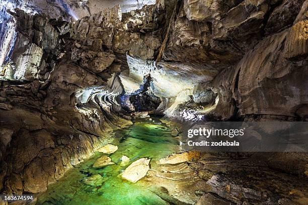souterrain à bornéo, parc national de gunung mulu - île de bornéo photos et images de collection