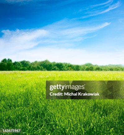 Printemps sur Prairie. Herbe fraîche et de beaux nuages. Printemps sur Prairie. Herbe fraîche et de beaux nuages.