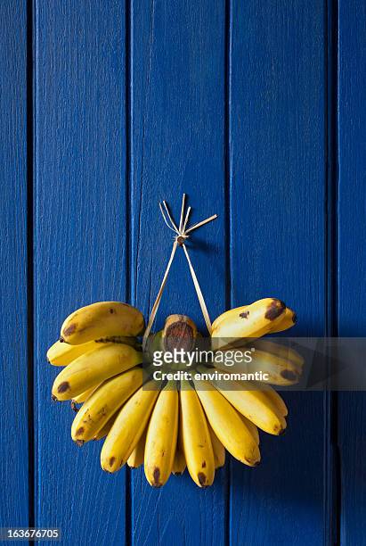 marktfrische bananen hängen auf einer alten blau holz wand. - banane stock-fotos und bilder