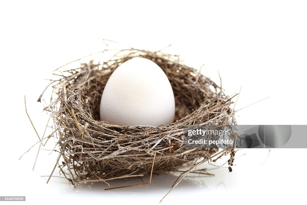 Nest mit Eiern