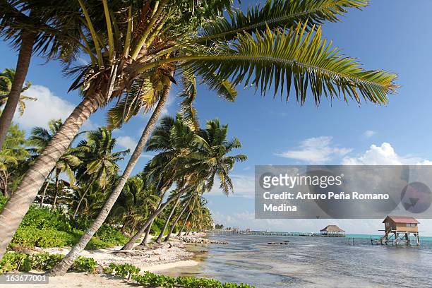 san pedro belize - belize stock pictures, royalty-free photos & images