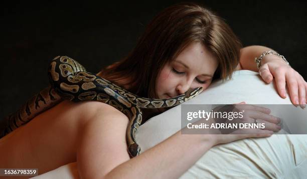 Carly Shutes, an employee at Chessington World of Adventures, poses for pictures as she enjoys a massage by two Royal Python snakes at a photocall to...