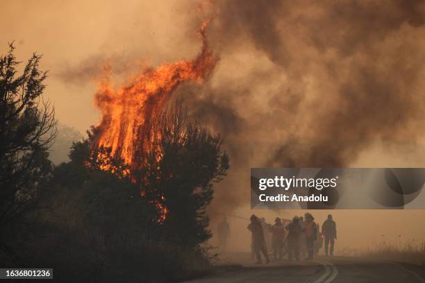 View of wildfire in the village of Sidiro and Yannuli in Evros, Greece on August 31, 2023. Efforts to extinguish wildfire continues.