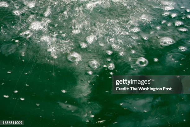 Water dsspersed from a fountain, dances on the surface in a 150,000 gallon water garden at the U.S. National Arboretum at on June 28, 2023 in...