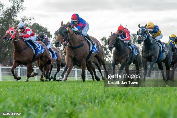 Just Jake ridden by Jaylah Kennedy wins the Seymour Football Netball Club ?Good luck in the Finals' Handicap at Seymour Racecourse on September 01,...