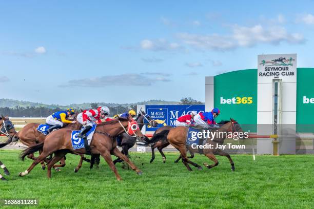 Just Jake ridden by Jaylah Kennedy wins the Seymour Football Netball Club ?Good luck in the Finals' Handicap at Seymour Racecourse on September 01,...