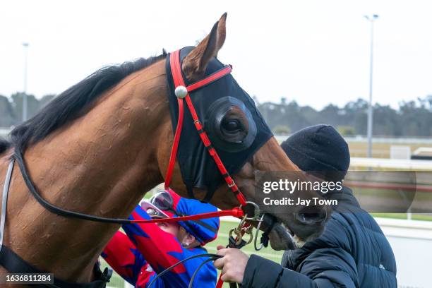 Just Jake in the Mounting Yard after winning the Seymour Football Netball Club ?Good luck in the Finals' Handicap at Seymour Racecourse on September...