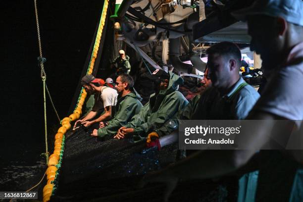 Fish Rifat 2,179 Fishing For Leave Stock Photos, High-Res Pictures, and Images ...