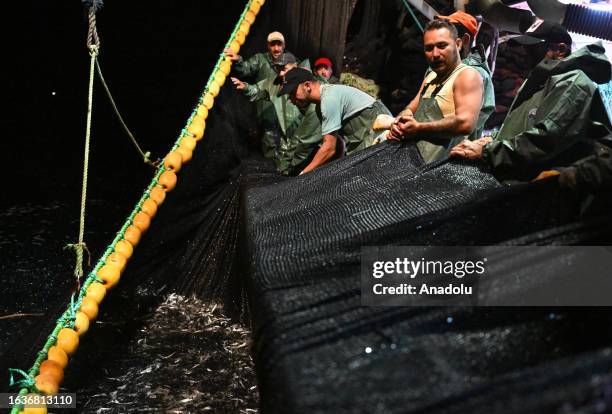 Fish Rifat 382 Net Full Of Fish Stock Photos, High-Res Pictures, and Images ...