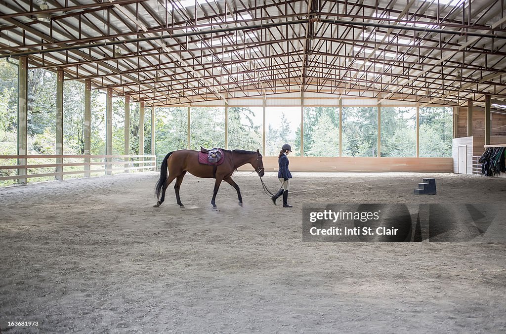 Female equestrian walking horse in training arena