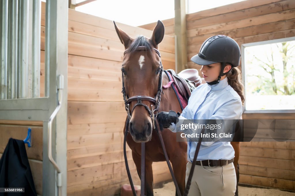 Female equestrian prepping horse in stable