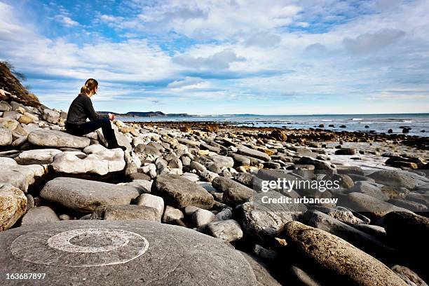 spaziergang entlang der jurassic coast - fossil site stock-fotos und bilder