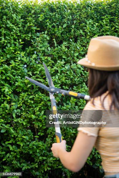 young woman trimming up the hedge with clippers. - ent stockfoto's en -beelden