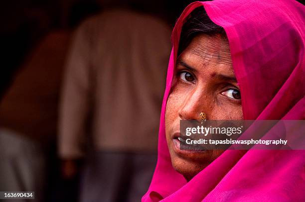 the lady - bengali sari stockfoto's en -beelden