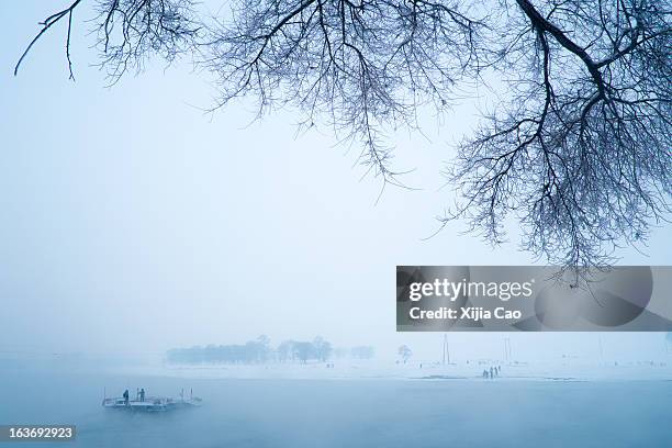 dongbei rime island - rime ice stock pictures, royalty-free photos & images