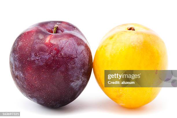 plums - plums isolated stock pictures, royalty-free photos & images