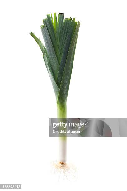 lauch - leek images stock-fotos und bilder
