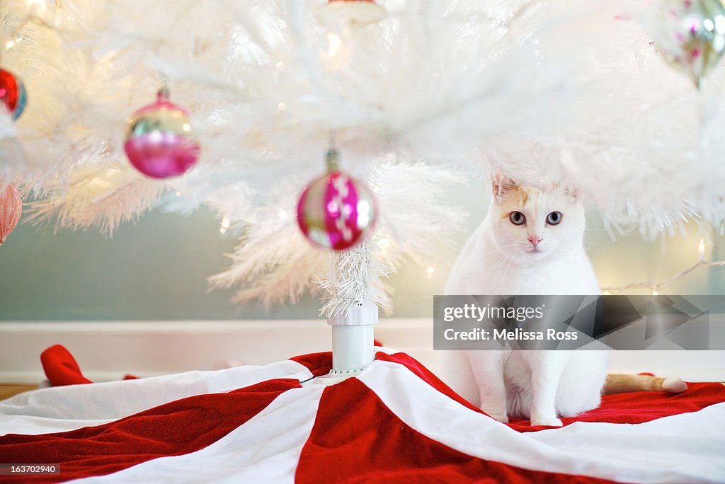 White cat standing under white Christmas tree