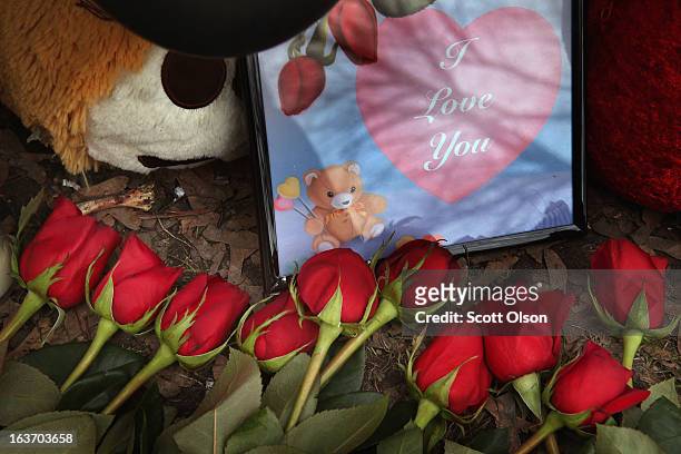 Roses are left at a memorial for 6-month-old Jonylah Watkins on March 14, 2013 in Chicago, Illinois. Watkins and her father, Jonylah's father,...