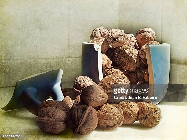 nueces - nueces stock pictures, royalty-free photos & images