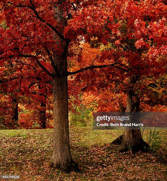 Fall Des Des Moines Iowa Landscape Photos and Premium High Res Pictures - Getty ...
