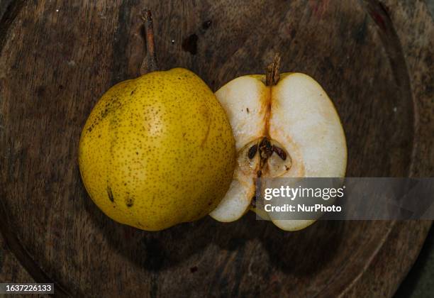 Pears are fruits produced and consumed around the world, growing on a tree and harvested in late summer into mid-autumn. The pear tree and shrub are...