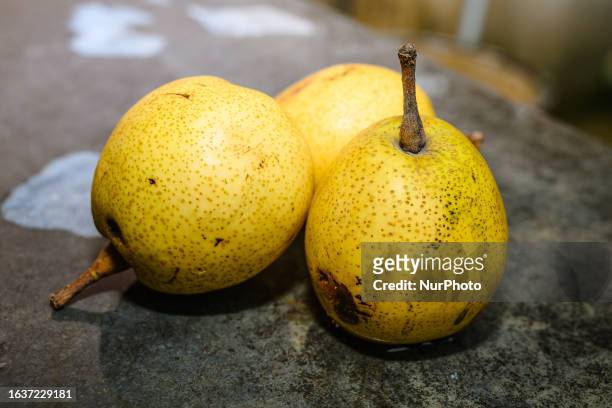 Pears are fruits produced and consumed around the world, growing on a tree and harvested in late summer into mid-autumn. The pear tree and shrub are...