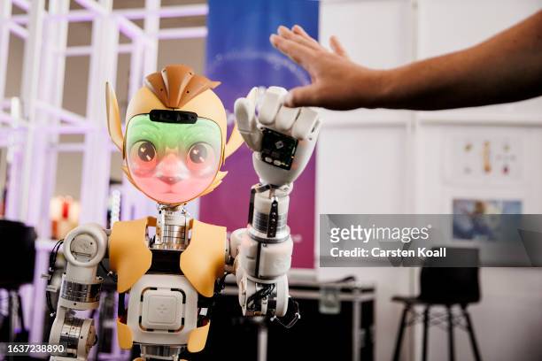 Visitor tries to touch a robot at the house of robots booth during at the 2023 IFA consumer electronics and home appliances trade fair on September...