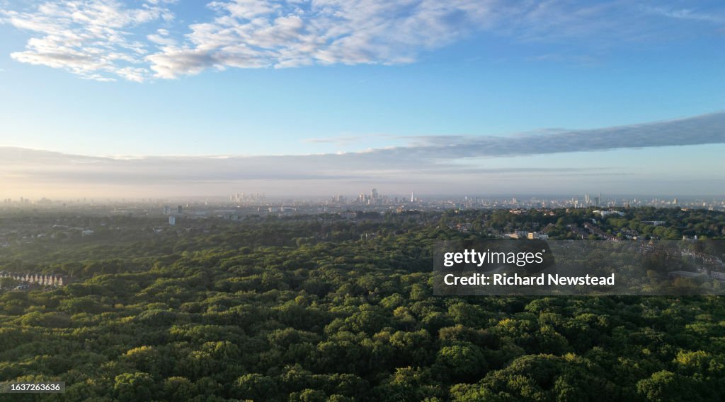 Highgate Woods