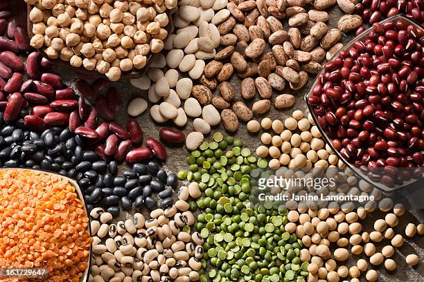 an up close picture of organic legumes - bean stock pictures, royalty-free photos & images