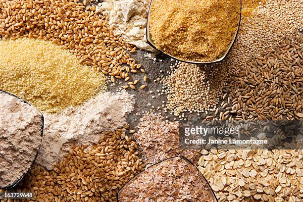 organic whole grains - cereal plant stock pictures, royalty-free photos & images